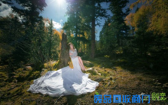 清新氧气美女 ZOL人像摄影论坛精选集