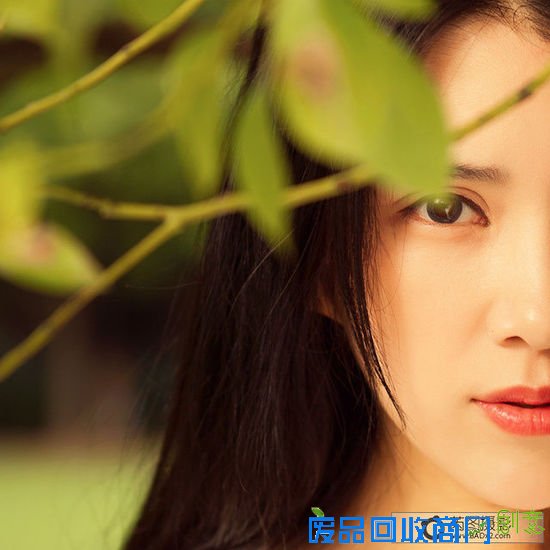 清新氧气美女 ZOL人像摄影论坛精选集