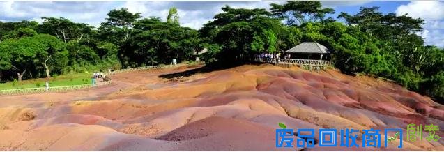 非洲旅游摄影：大量美图出没 流量杀手来了！