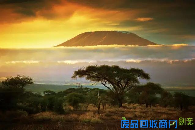 非洲旅游摄影：大量美图出没 流量杀手来了！