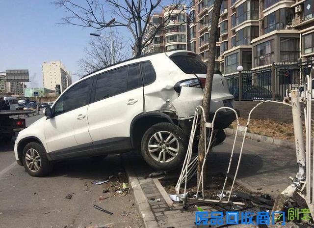 每日图集：摄影师拍摄比基尼美女海底世界大片