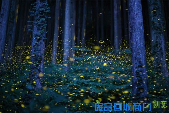 震撼视觉！旅行照正确拍照法在这里