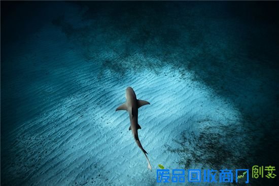 震撼视觉！旅行照正确拍照法在这里