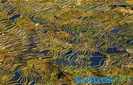 震撼视觉！旅行照正确拍照法在这里