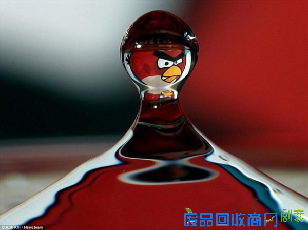 以色列唯美摄影:水滴居然也能这么可爱