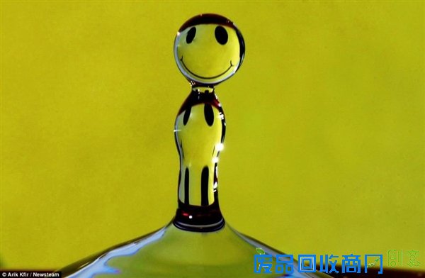 以色列唯美摄影:水滴居然也能这么可爱