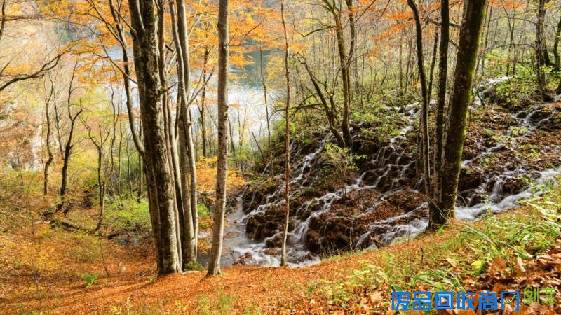 欧洲风情画唯美延时摄影《秋之韵》