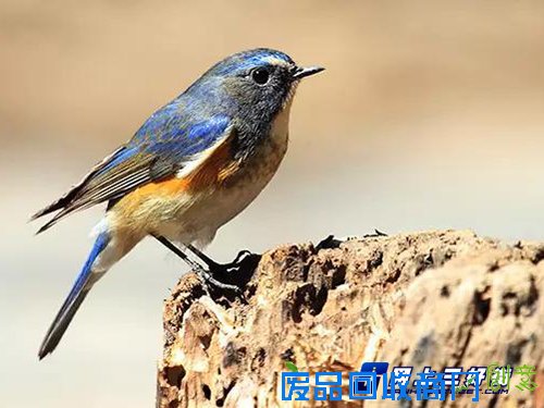 如何在摄影过程中巧妙运用光圈大小?