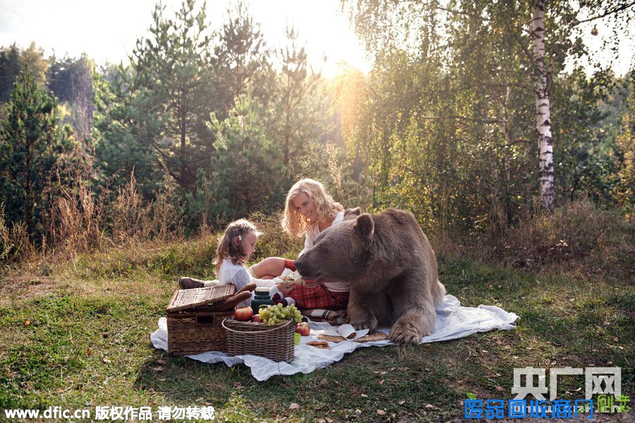 美女与野兽：摄影师拍摄母女与棕熊温馨野餐照