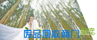大陆民众流行海岛婚礼慕名赴台湾拍婚纱照（图）