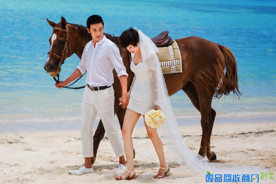 陆毅鲍蕾结婚纪念日晒唯美婚纱照(组图)