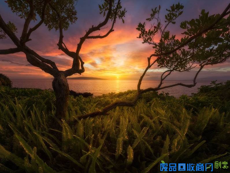 2015年度美国风景摄影师比赛作品