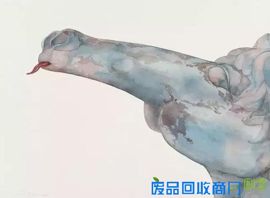 这些画和她一样干净、漂亮又伤感