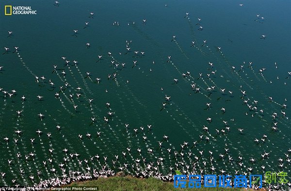 国家地理2015优秀摄影作品：震撼唯美