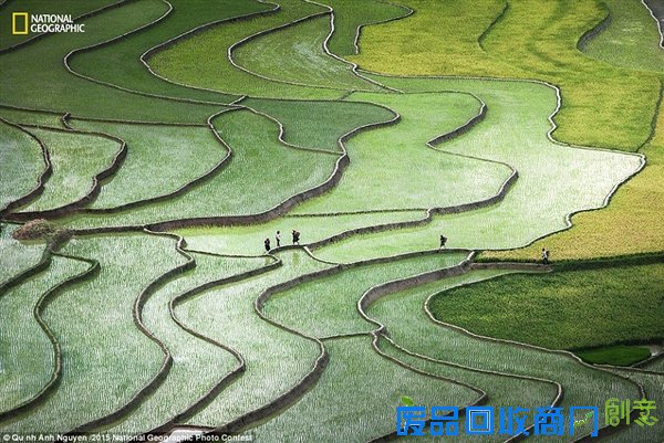 国家地理2015优秀摄影作品：震撼唯美