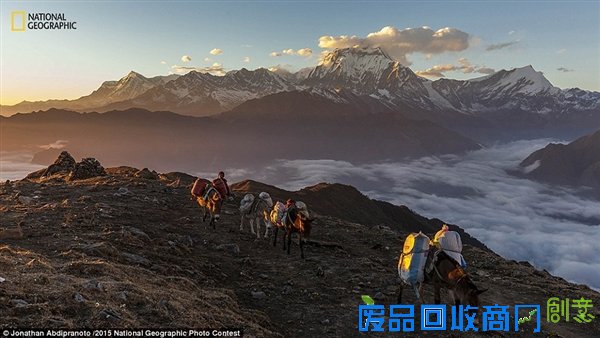 国家地理2015优秀摄影作品：震撼唯美