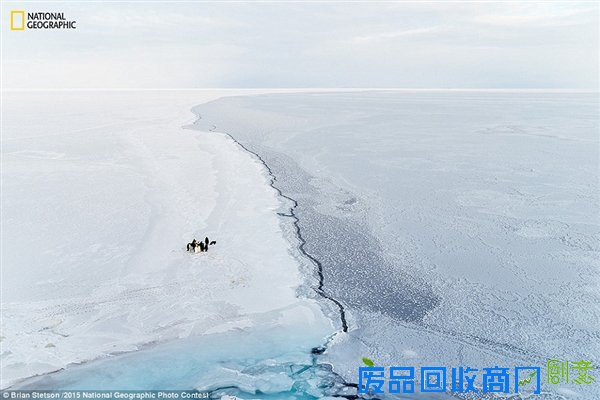 国家地理2015优秀摄影作品：震撼唯美