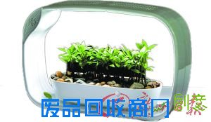 迷你花园台灯:“绿意春歌”。