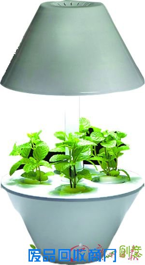 迷你花园台灯:“灯影春意”。