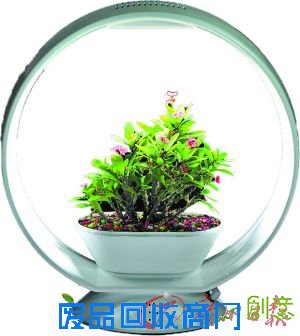 迷你花园台灯:“花好月圆”。