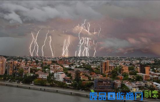 布里斯班Kangaroo