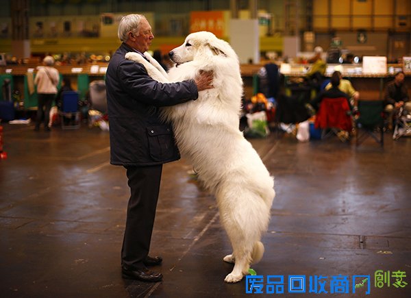 是悲伤还是欢乐，上半年被点赞最多的照片有哪些？