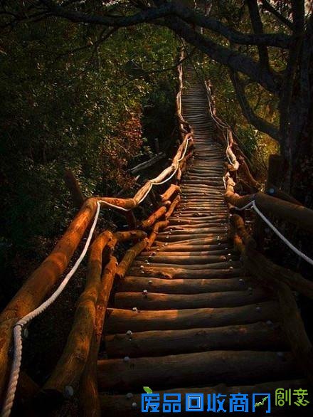 意境伤感森系lomo寂静森林唯美图片