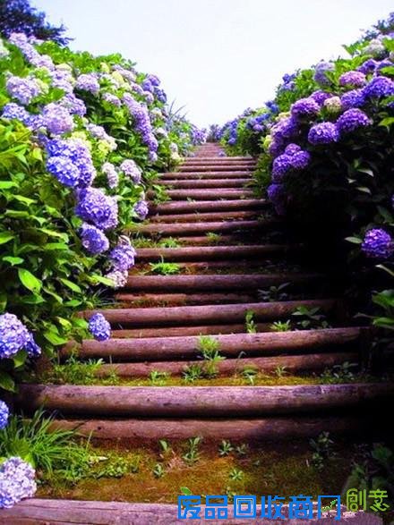 意境伤感森系lomo寂静森林唯美图片