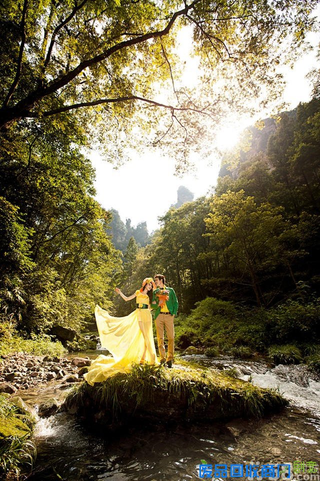 爱情岛摄影/爱情电影网aqdy/北京爱情岛摄影的网址或qq是多少?