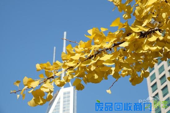 冬季摄影需要注意的事儿