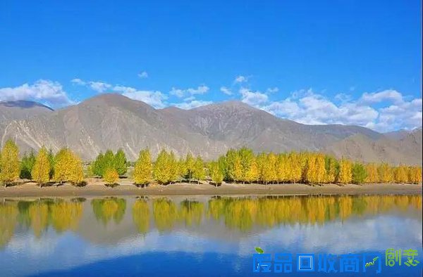 西藏的秋天究竟有多美？把摄影师都逼疯了！