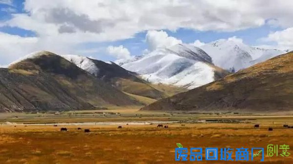 西藏的秋天究竟有多美？把摄影师都逼疯了！