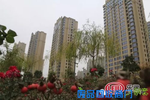 【美图大赏】居美的家，赏美的风景！