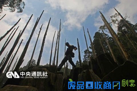 有台湾九寨沟之称的“忘忧森林”。(台湾“中央社”档案照片) 有台湾九寨沟之称的“忘忧森林”。(台湾“中央社”档案照片)