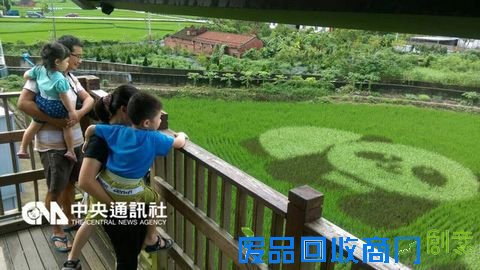 “彩绘稻田”(台湾“中央社”档案照片) “彩绘稻田”(台湾“中央社”档案照片)