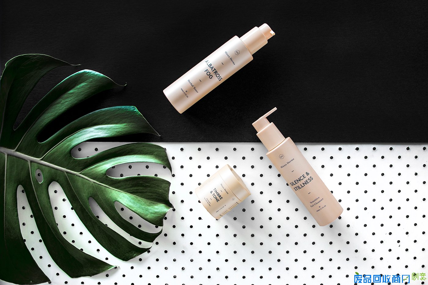 如何拍出美图?布景设计成关键