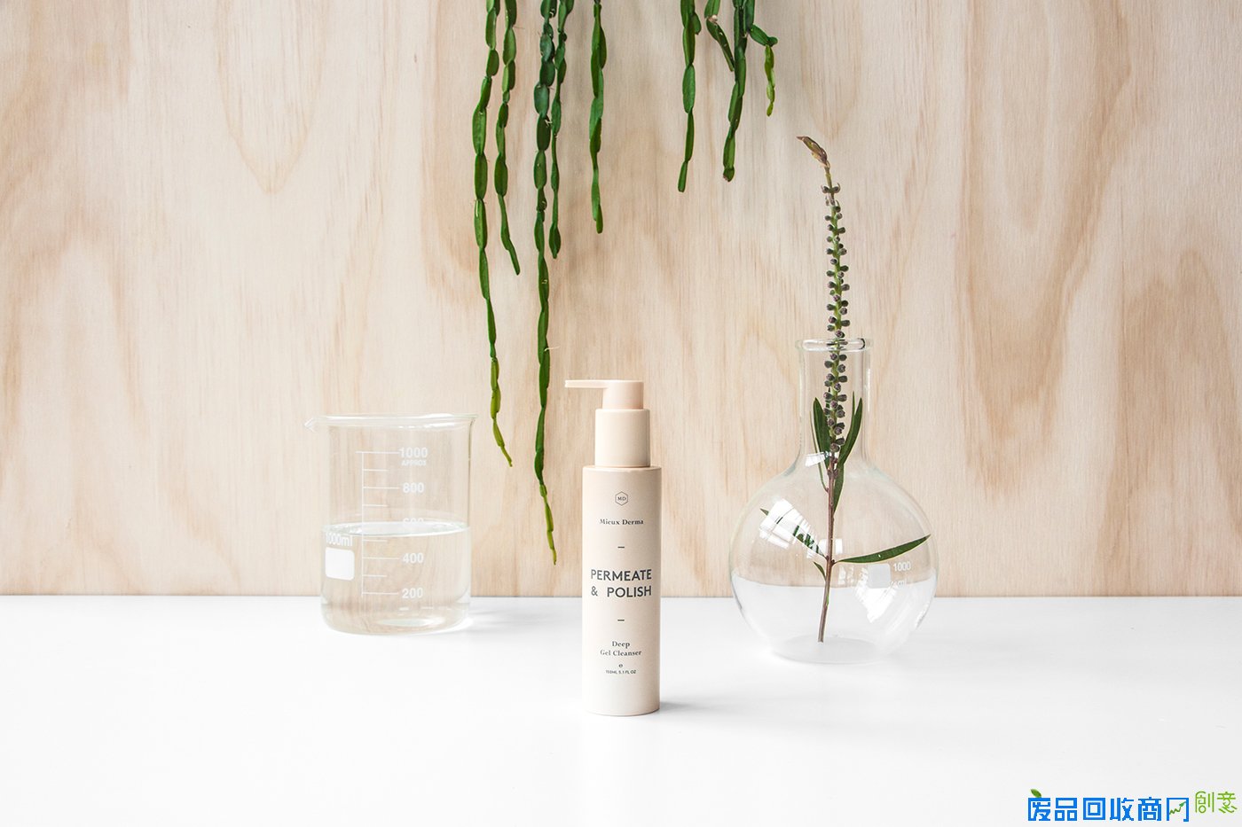 如何拍出美图?布景设计成关键