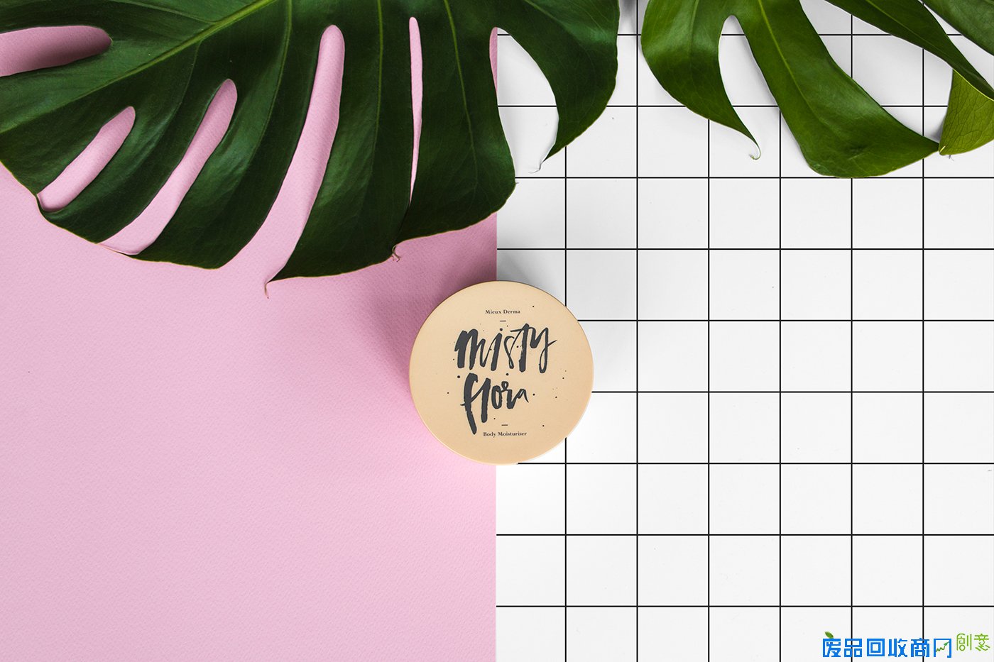 如何拍出美图?布景设计成关键 三联