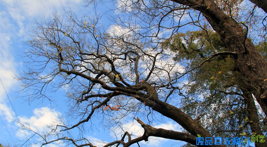 醉美婺源,古道寻枫,行摄最美乡村