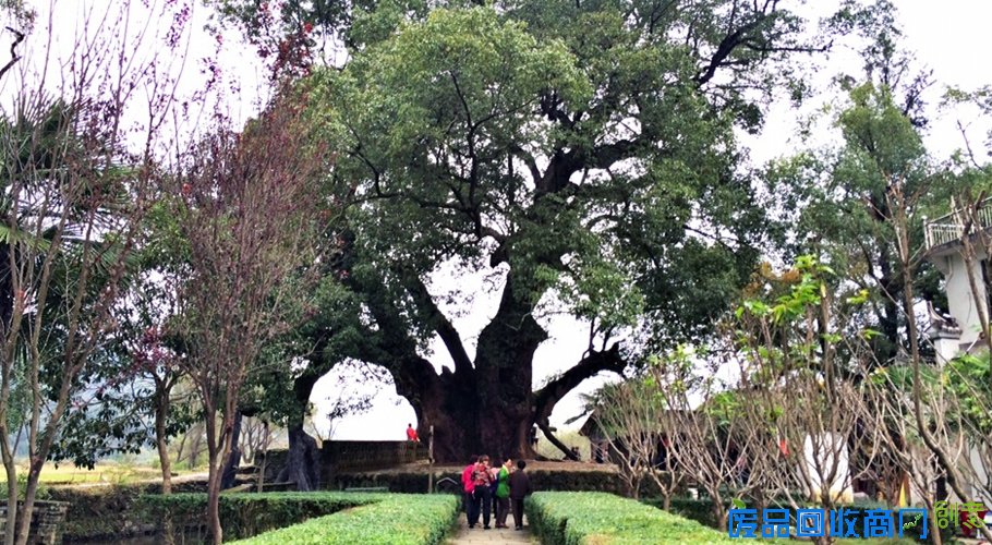醉美婺源，古道寻枫，行摄最美乡村