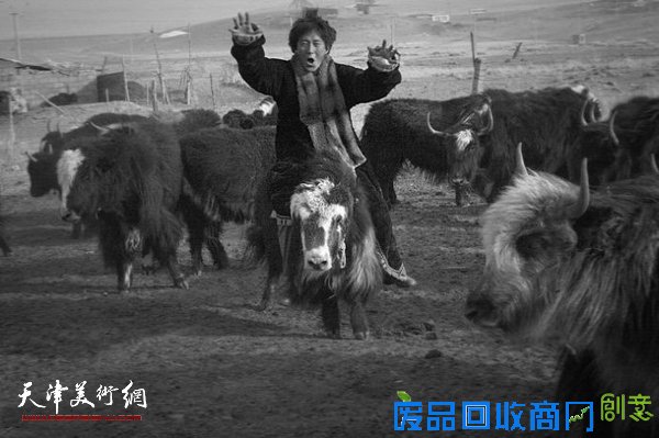 藏地·深呼吸-站台三10人藏区主题视觉艺术展参展作品。