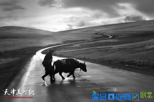 藏地·深呼吸-站台三10人藏区主题视觉艺术展参展作品