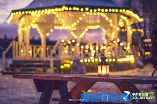 加拿大摄影师Carolene Preap眼中的生活美图