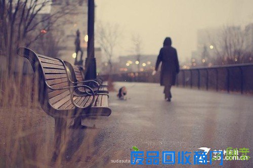 加拿大摄影师Carolene Preap眼中的生活美图