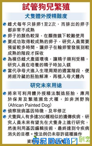 天下财经 国际动态 环球视野 环球金融