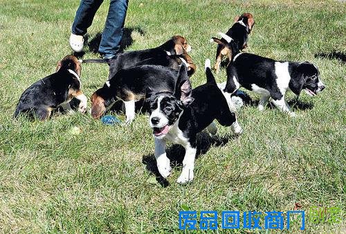 天下财经 国际动态 环球视野 环球金融