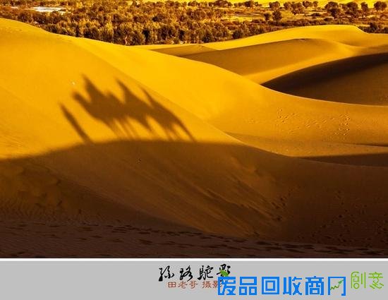 入秋拍拍拍 大量精致美图给你的拍摄找灵感