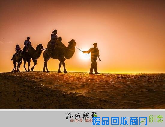 入秋拍拍拍 大量精致美图给你的拍摄找灵感