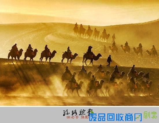 入秋拍拍拍 大量精致美图给你的拍摄找灵感