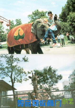 日本女星宫崎葵 云南拍摄唯美写真(图)